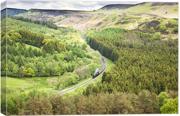 North York Moors Railway Canvas Print by Paula Connelly