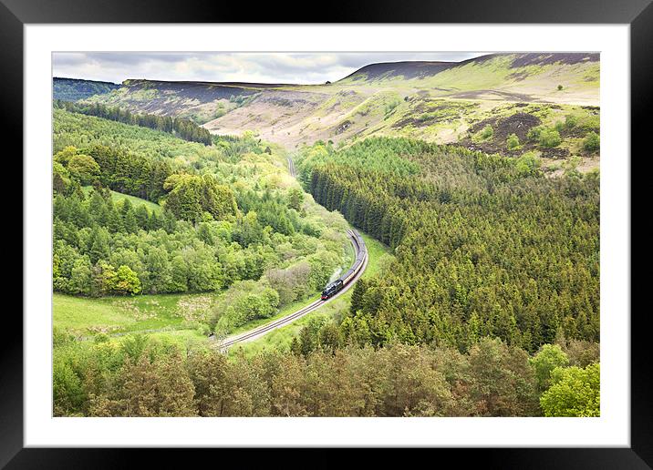 North York Moors Railway Framed Mounted Print by Paula Connelly