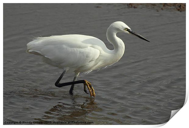 Little Egret Out to Lunch Print by Wendy Cooper