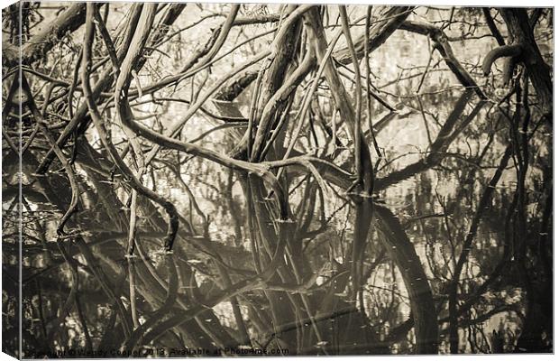 Mirrored Branches (mono) Canvas Print by Wendy Cooper