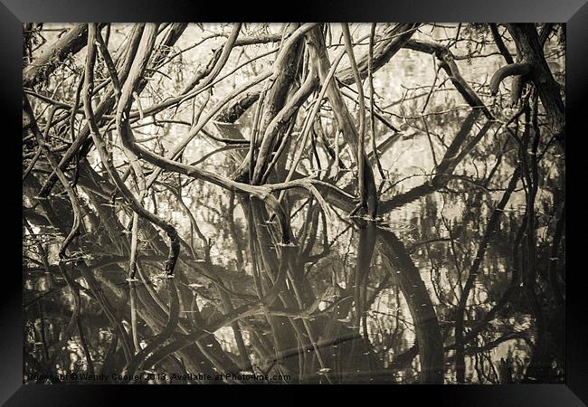 Mirrored Branches (mono) Framed Print by Wendy Cooper