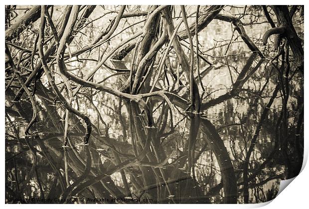 Mirrored Branches (mono) Print by Wendy Cooper
