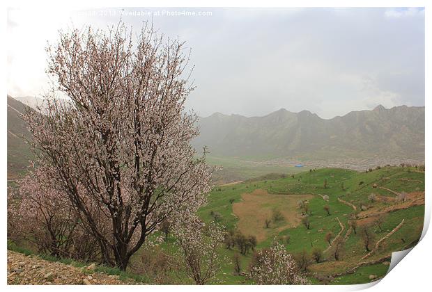 Springtime in the Shaliar(A Village in Uraman) Print by abdolla sajadi