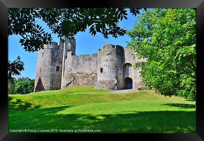 Chepstow Castle Framed Print by Paula J James