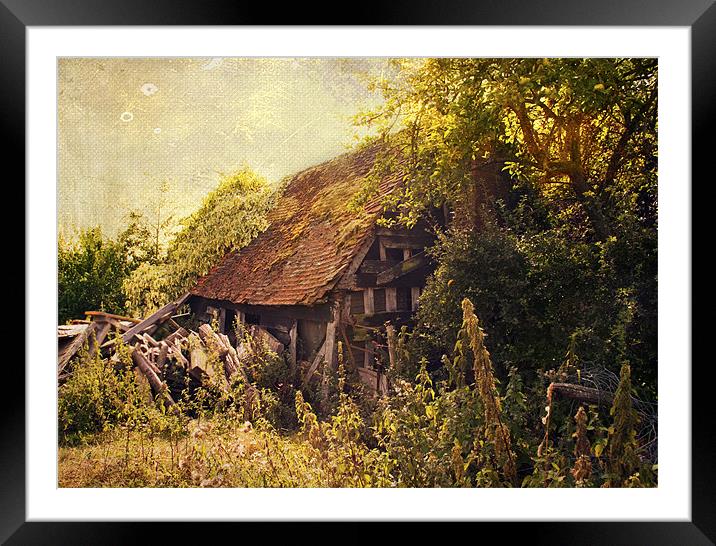 Enchanted Cottage Framed Mounted Print by Dawn Cox
