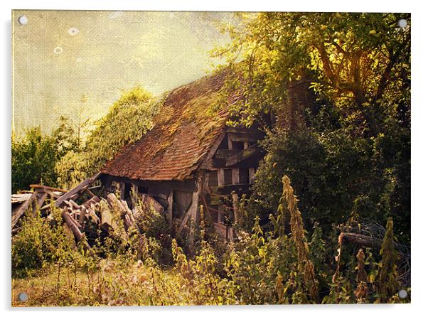 Enchanted Cottage Acrylic by Dawn Cox
