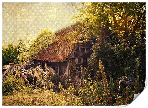 Enchanted Cottage Print by Dawn Cox