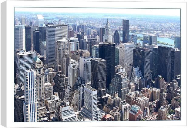 Manhattan from Empire State Building Canvas Print by Philip Pound
