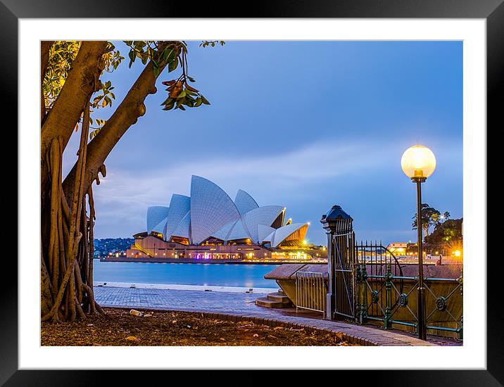 Sydney Opera House Framed Mounted Print by peter tachauer