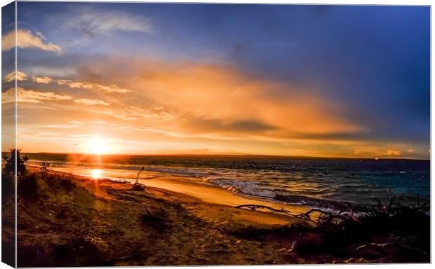 Sunset and Driftwood Canvas Print by peter tachauer