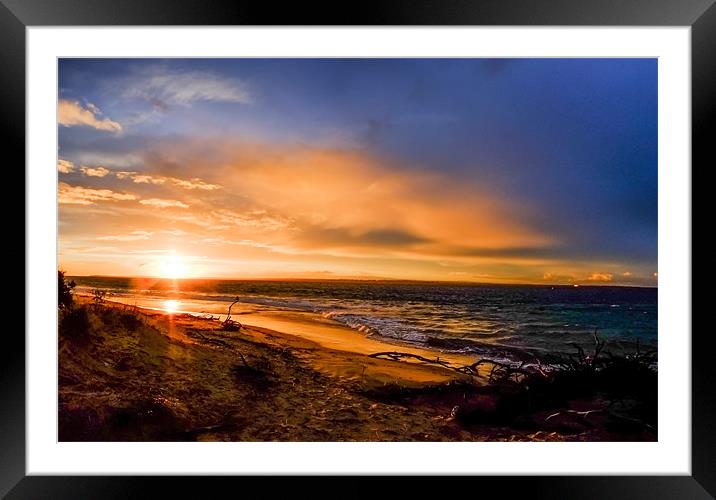 Sunset and Driftwood Framed Mounted Print by peter tachauer