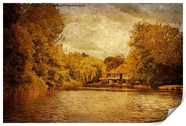 House By The River Print by Julie Coe