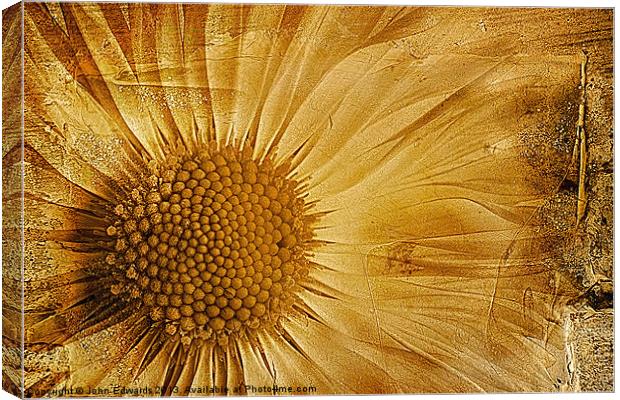 Infusion Canvas Print by John Edwards