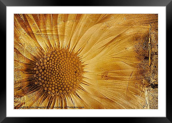 Infusion Framed Mounted Print by John Edwards