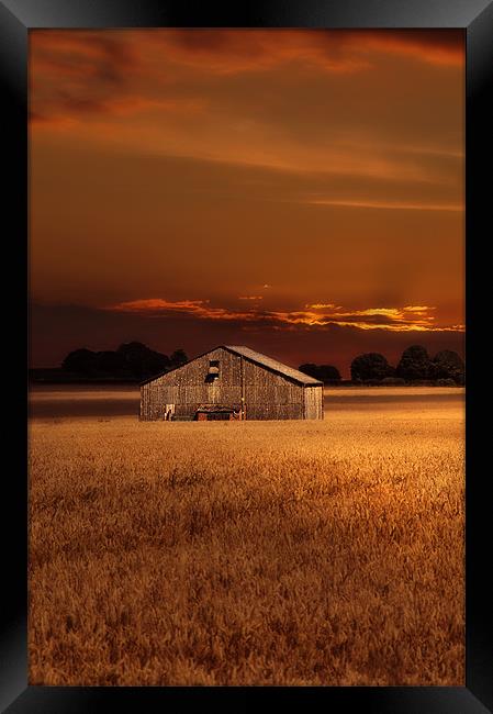 The field barn Framed Print by Robert Fielding