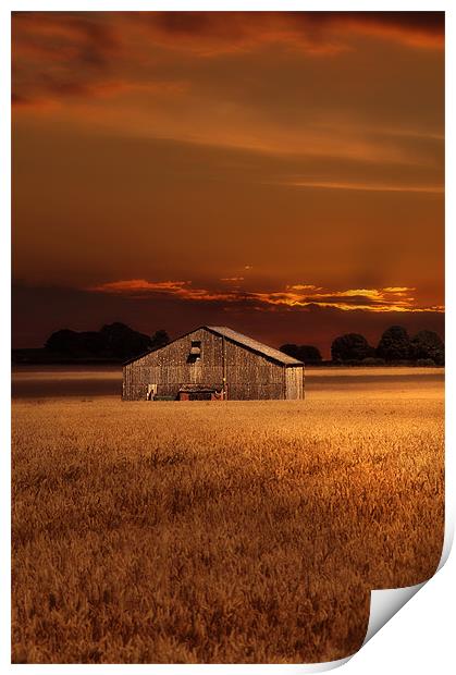 The field barn Print by Robert Fielding
