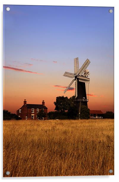 Sibsey trader windmill Acrylic by Robert Fielding