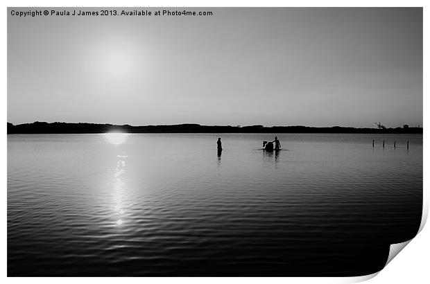 South Wales Sunset Print by Paula J James