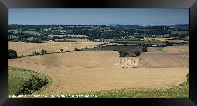 Donhead Hollow Framed Print by Phil Wareham