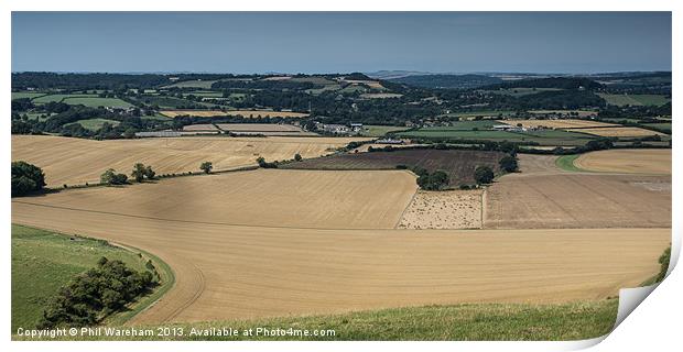 Donhead Hollow Print by Phil Wareham