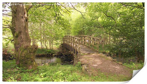 Wooden Bridge At Nant Gwynant Print by Paul Madden