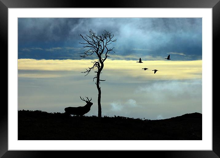 Strathglass Framed Mounted Print by Macrae Images