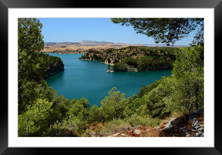The Lake Framed Mounted Print by Fine art by Rina