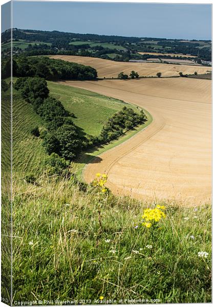 Win Green and Donhead Hollow Canvas Print by Phil Wareham