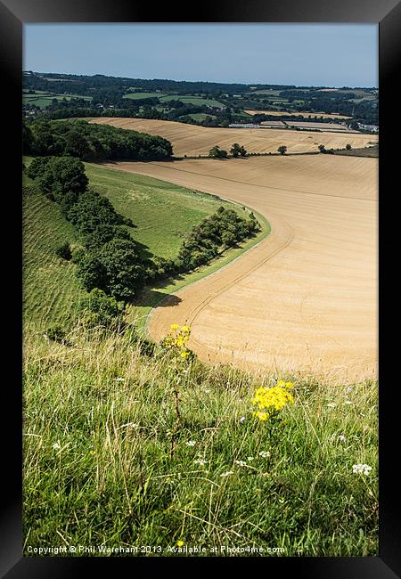 Win Green and Donhead Hollow Framed Print by Phil Wareham