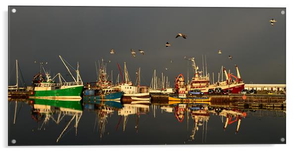 Dingle Harbor Acrylic by barbara walsh
