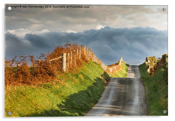 Road to nowhere Acrylic by Izzy Standbridge