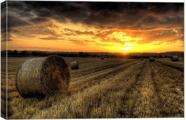 Harvested Cornfield Sunset Canvas Print by Simon West
