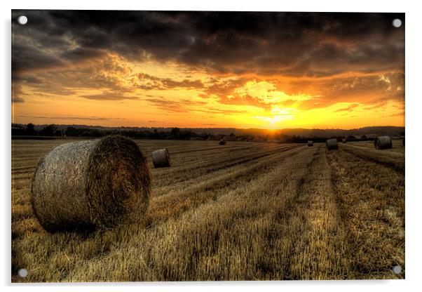 Harvested Cornfield Sunset Acrylic by Simon West
