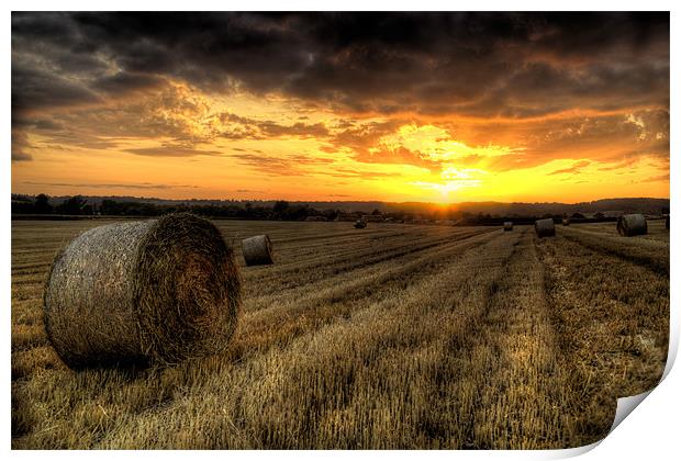 Harvested Cornfield Sunset Print by Simon West