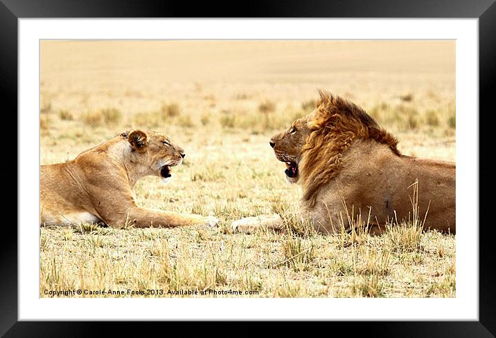Post Coital Conversation Framed Mounted Print by Carole-Anne Fooks
