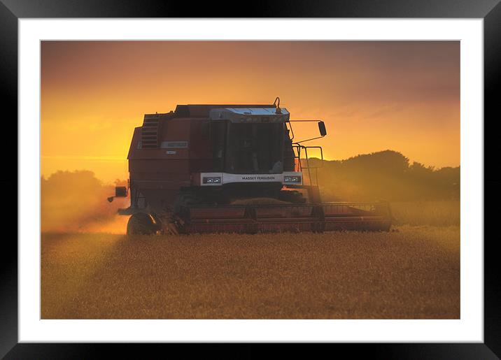 Golden harvest Framed Mounted Print by Robert Fielding
