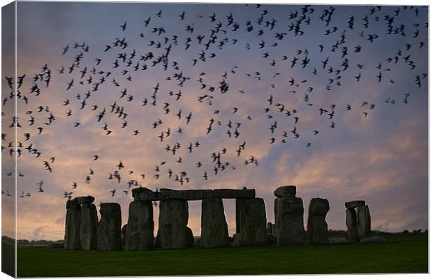 Stonehenge at sunset Canvas Print by mike fendt