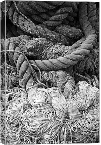 Tangled rope Canvas Print by Howard Corlett