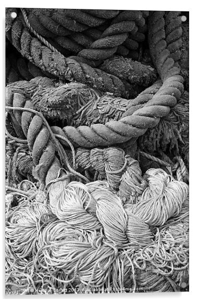 Tangled rope Acrylic by Howard Corlett