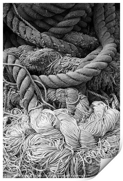 Tangled rope Print by Howard Corlett