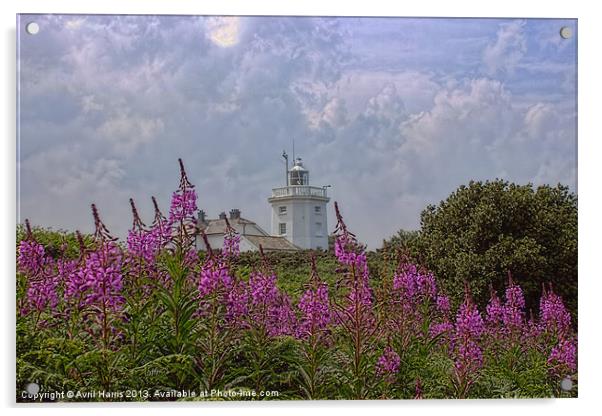 Purple flowers with Cromer lighthouse Acrylic by Avril Harris