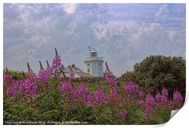 Purple flowers with Cromer lighthouse Print by Avril Harris