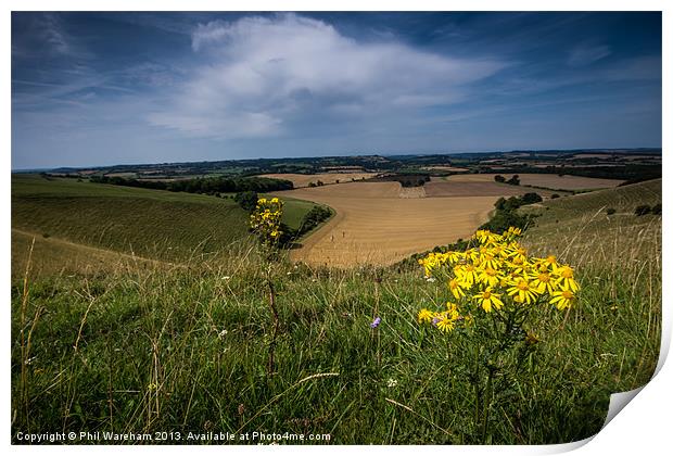 Donhead Hollow near Shaftesbury Print by Phil Wareham