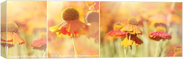 Sunlit Orange Helenium Flowers Triptych Canvas Print by Natalie Kinnear