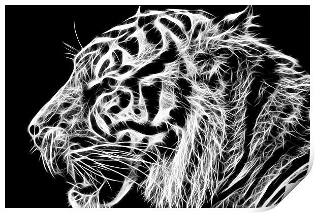 Tiger Print by Sam Smith