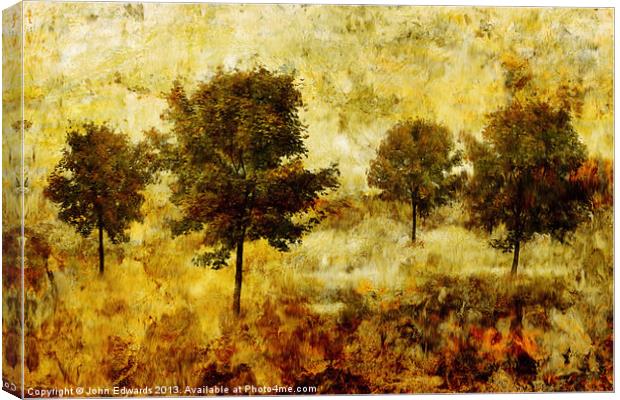 Four Trees Canvas Print by John Edwards