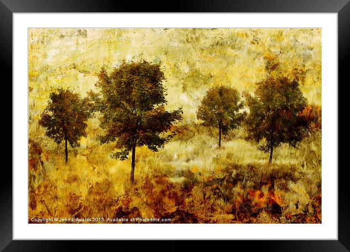 Four Trees Framed Mounted Print by John Edwards