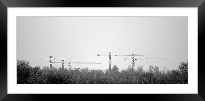 Four Cranes Framed Mounted Print by John Boekee