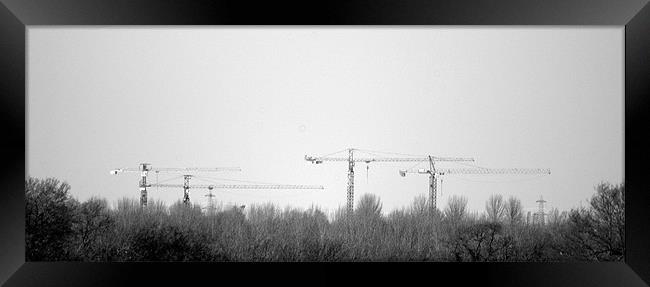 Four Cranes Framed Print by John Boekee