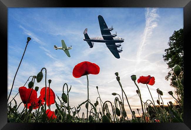 Lancaster & Spitfire over Poppy Field Framed Print by Robert  Radford